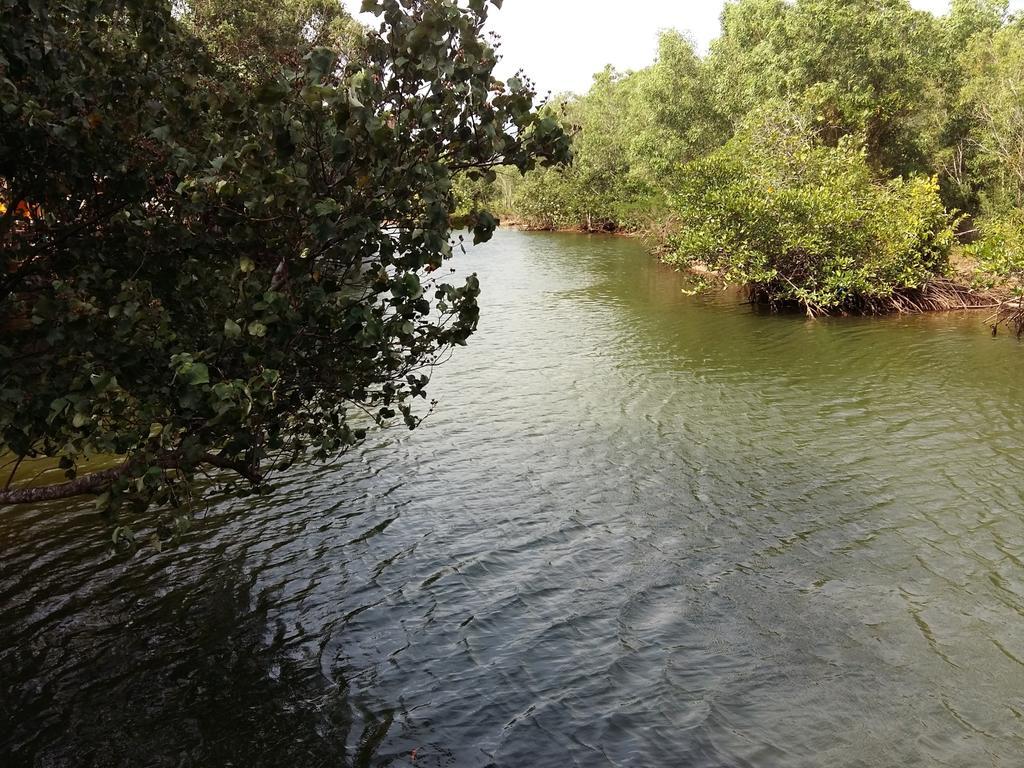 Mangroves & More @ Cambodia Сиханоуквил Екстериор снимка